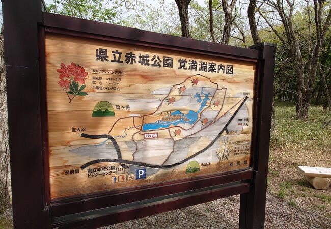 県立赤城公園ビジターセンター クチコミ アクセス 営業時間 赤城山周辺 フォートラベル