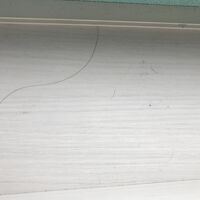 落ちていた髪の毛