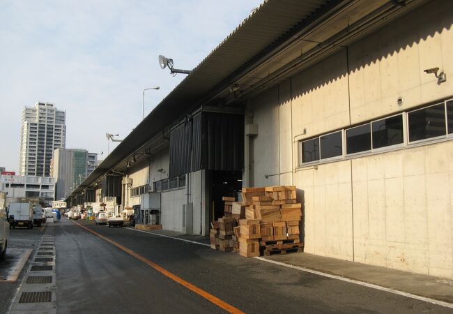 福岡市中央卸売市場鮮魚市場 クチコミ アクセス 営業時間 博多 フォートラベル 福岡市中央卸売市場鮮魚市場 クチコミ アクセス 営業時間 博多 フォートラベル