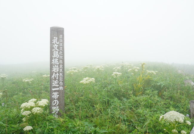 桃岩展望台 桃岩 クチコミ アクセス 営業時間 礼文島 フォートラベル