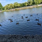 カップルは皆無、外国人グループと子連れファミリーが集う、密にならない広大な都立公園