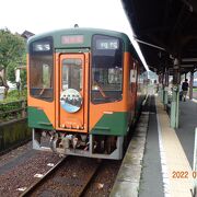 天竜二俣駅から途中駅まで往復しました。