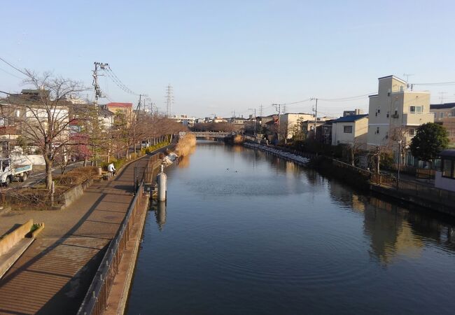 川のあるのどかな風景