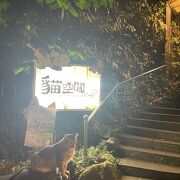 猫空間Cafe