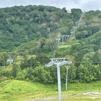 夏はジップラインやってました