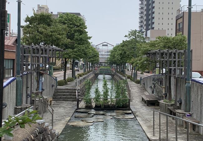 夏はうちわ祭り