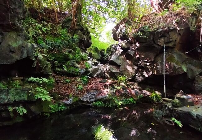 富士の巻狩りに来た頼朝が水面に映った髪のほつれを直したという伝説の残る湧き水