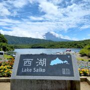 天然記念物のフジマリモや絶滅危惧種のクニマスが生息する湖