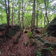 鳴沢の熔岩樹型