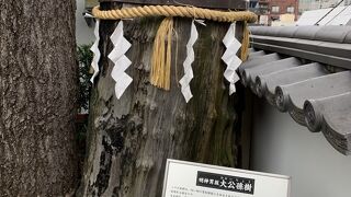 明神男坂大公孫樹