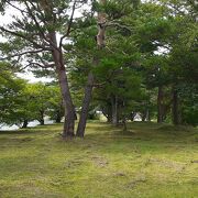 飛騨古川駅から徒歩10分程度の宮川沿いに位置する公園