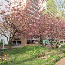 ミニ大通公園の雰囲気