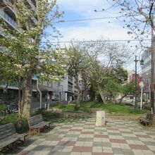 ミニ大通公園の雰囲気
