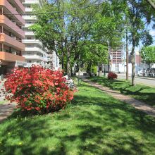 ミニ大通公園の雰囲気