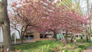 休憩や散策に良い場所