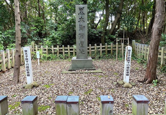 眺めの良い山で脱出作戦を練り上げたのだろうか