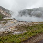 白煙をあげる噴気孔と高温の沼、多くの高山植物を観察。