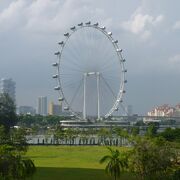 シンガポールの街並みが観られます