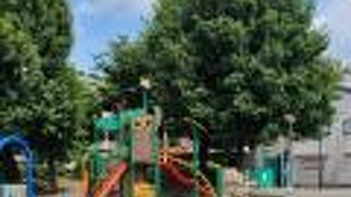 南林間中央公園