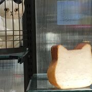 ネコの形が可愛い「ねこねこ食パン」