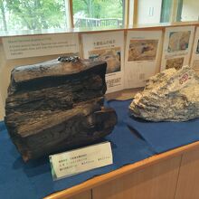岩石の展示。