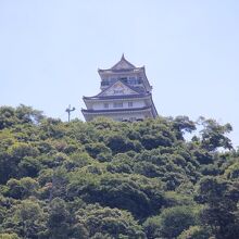 麓から見上げた岐阜城の姿