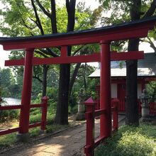 鳥居と本殿