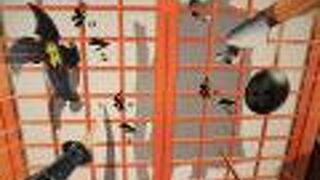 岐阜城に行ったならここも立ち寄りましょう