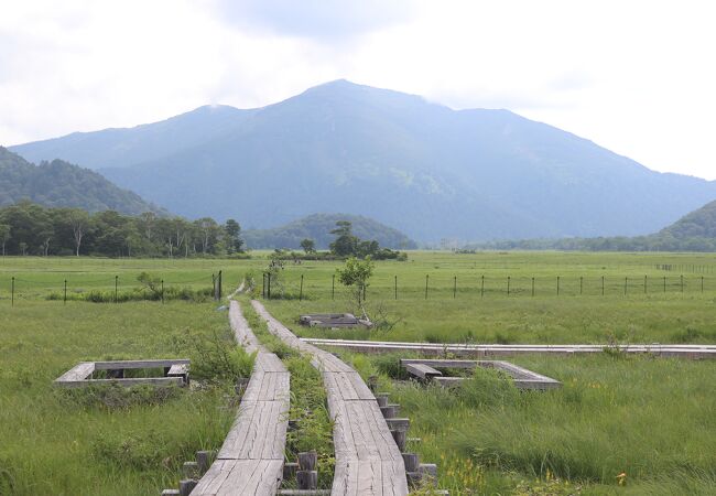 木道の交差点