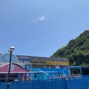 伊勢の水族館