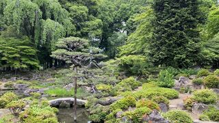 気持ちが落ち着きます