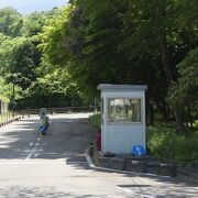 仙台城二の丸跡前の植物園