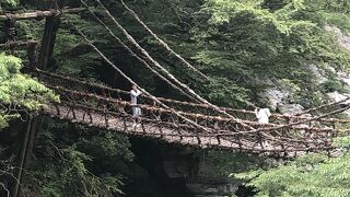 心のゆとりはありませんでした