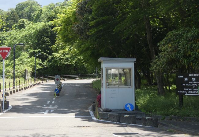 仙台城二の丸跡前の植物園