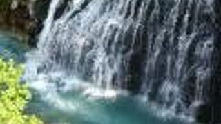 青い池とセットで楽しめました