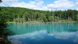神秘的ですが、観光客が多すぎ