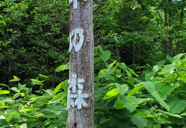 百年の森公園