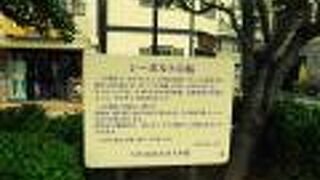 シーボルトの桜が植わっています。