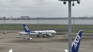 にぎやかになりました