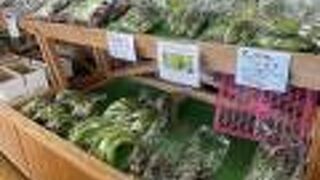 新鮮な野菜たくさん