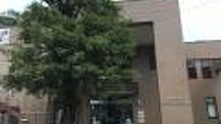 池の畔のテラスで読書