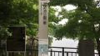 都内屈指の淡水池