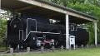 Ｄ51-95号機が静態保存されています