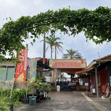 マンゴの香の道の駅