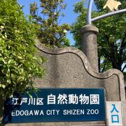 江戸川区の動物園