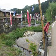 長湯温泉も芹川もくじゅう様々です。