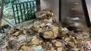 色々な物が揃う道の駅です