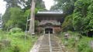 元々は杉並木だったのですね。