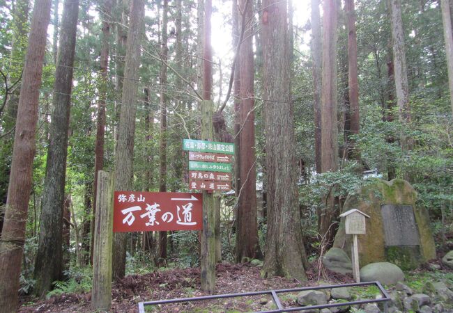 彌彦神社横