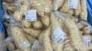 道の駅 錦江にしきの里